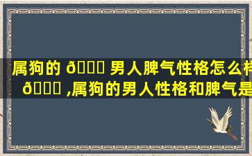 属狗的 🐒 男人脾气性格怎么样 🐋 ,属狗的男人性格和脾气是怎么样的